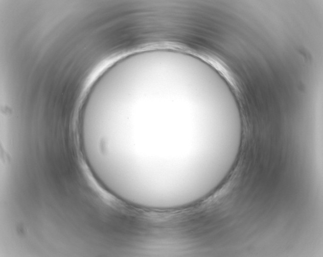 X0000091201046200708091036