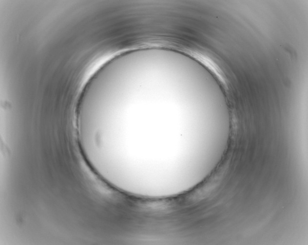 X0000091201047200708091036