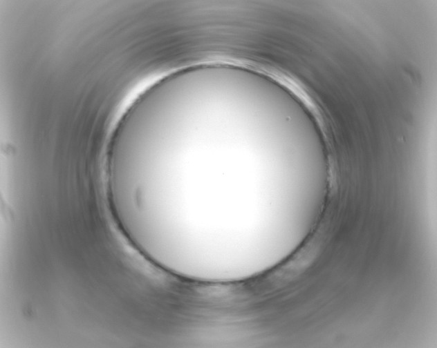 X0000091201048200708091036