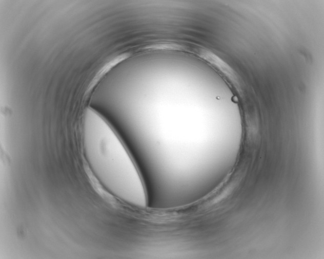 X0000091201049200708091036