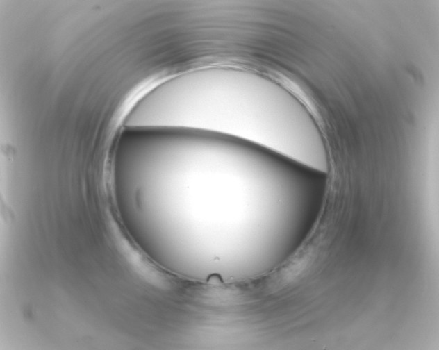 X0000091201050200708091036