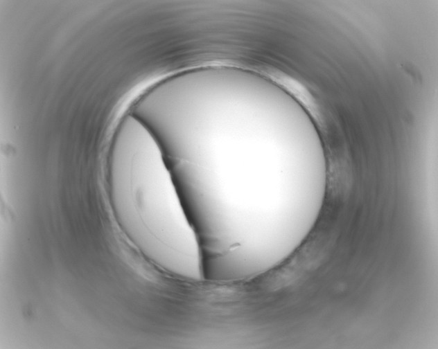 X0000091201051200708091036