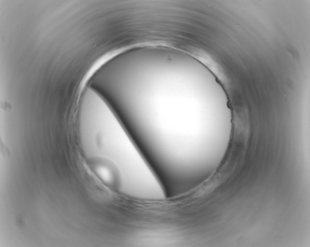 X0000091201052200708091036