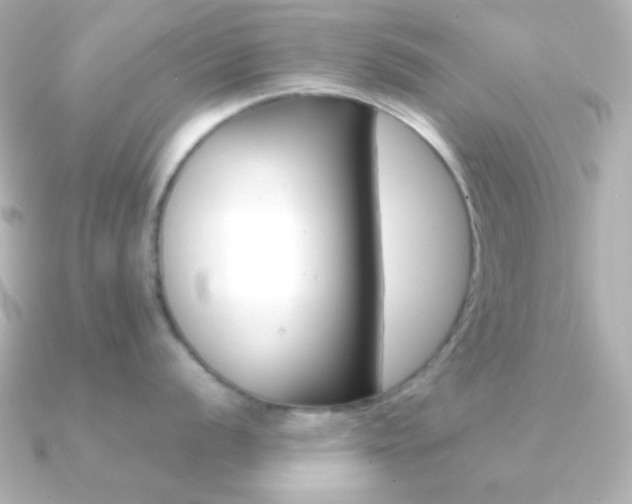 X0000091201056200708091036