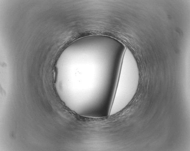 X0000091201057200708091036