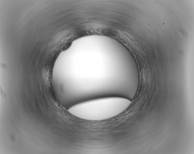 X0000091201060200708091036