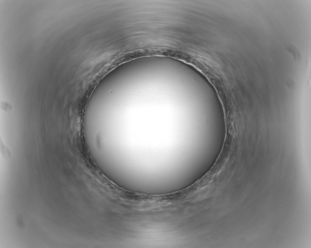 X0000091201061200708091036
