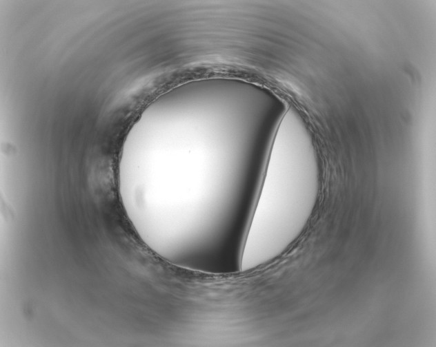 X0000091201062200708091036