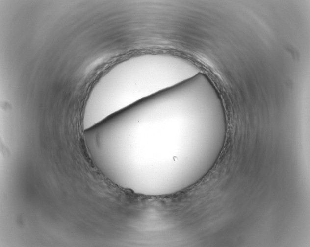 X0000091201063200708091036