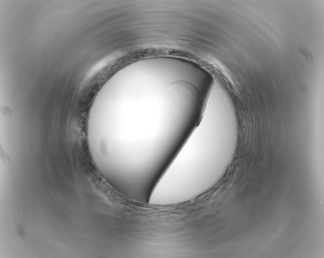 X0000091201064200708091036