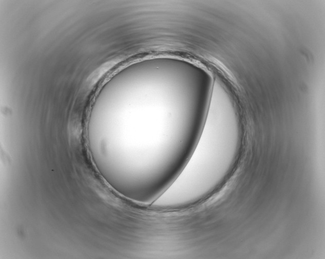 X0000091201065200708091036