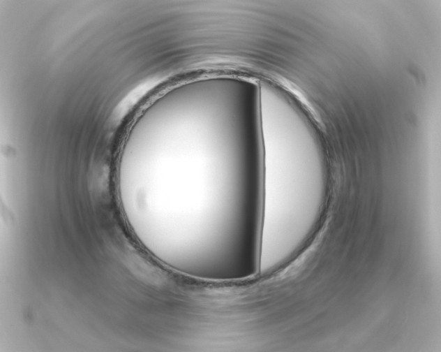 X0000091201066200708091036