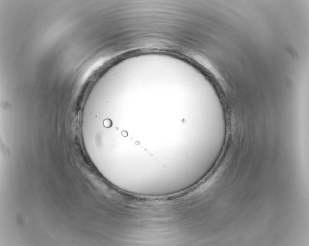 X0000091201067200708091036