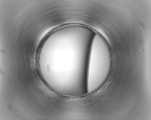 X0000091201068200708091036