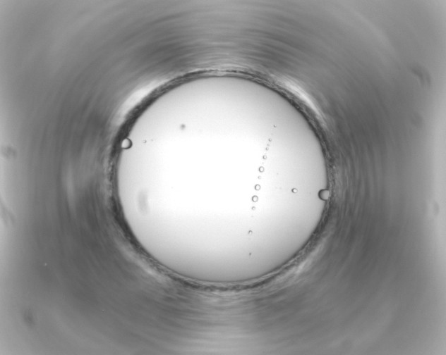 X0000091201071200708091036