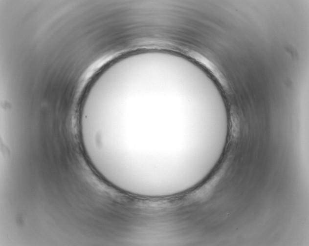 X0000091201074200708091036