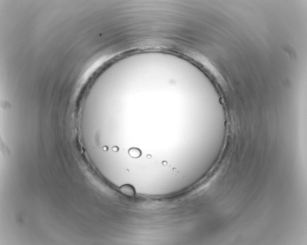 X0000091201075200708091036