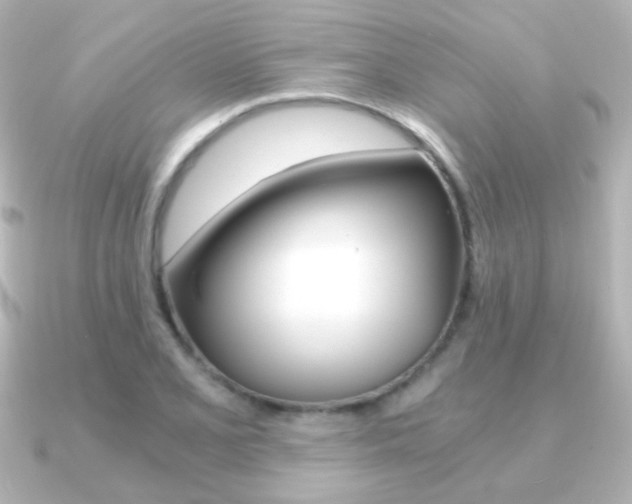X0000091201077200708091036