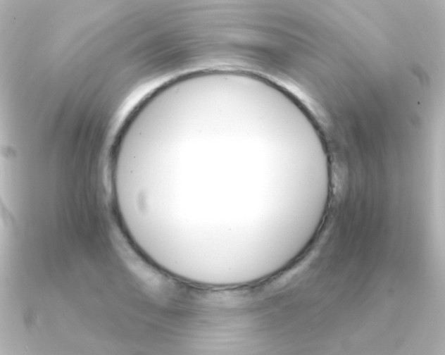 X0000091201078200708091036