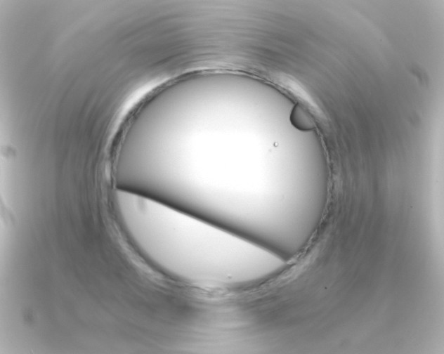 X0000091201079200708091036