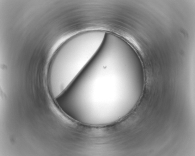 X0000091201080200708091036