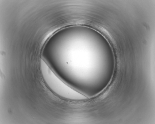 X0000091201081200708091036