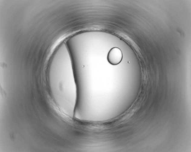 X0000091201083200708091036