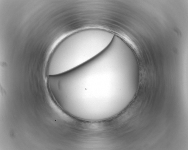 X0000091201084200708091036