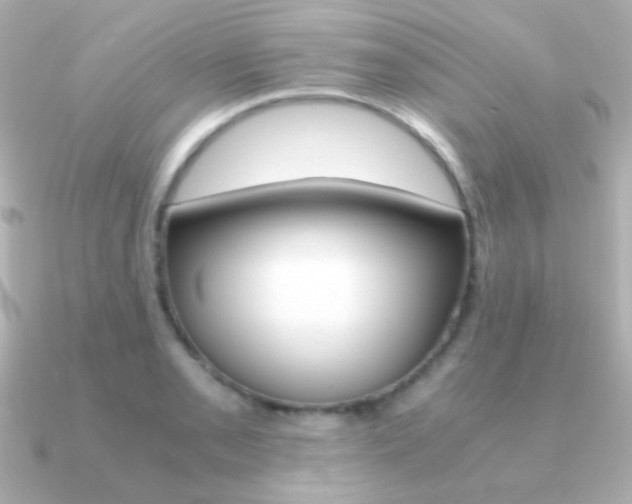 X0000091201085200708091036