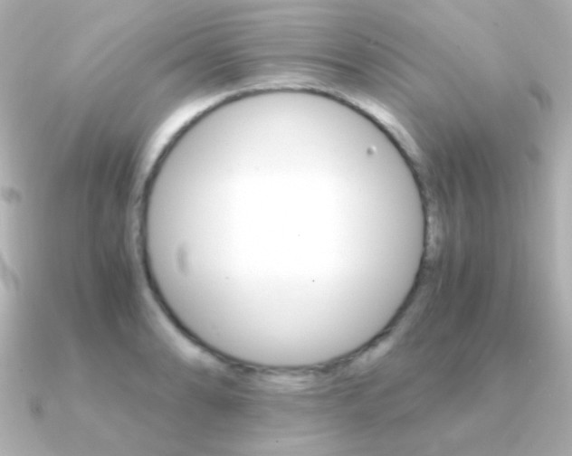 X0000091201086200708091036