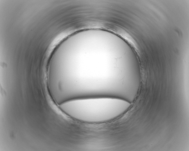 X0000091201088200708091036