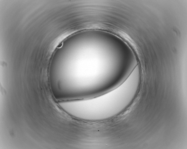 X0000091201089200708091036
