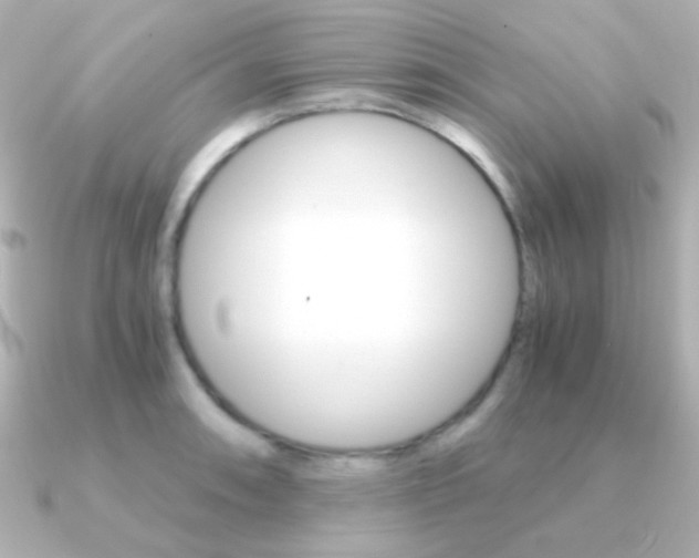 X0000091201090200708091036