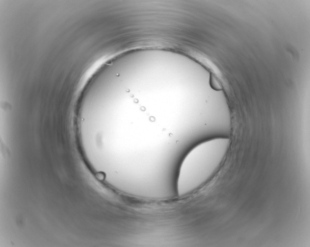 X0000091201091200708091035