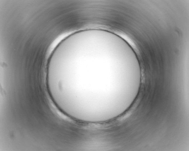 X0000091201094200708091035