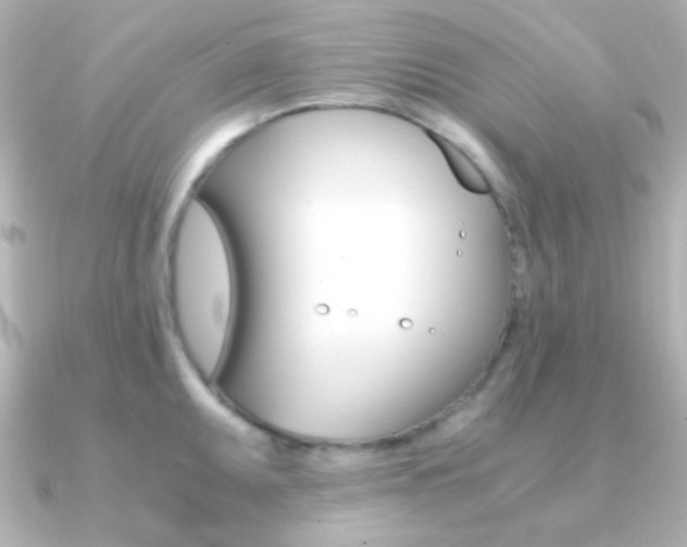 X0000091201095200708091035