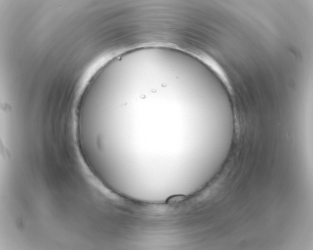 X0000091201096200708091035