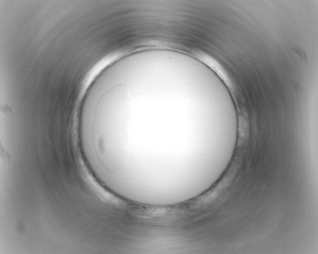 X0000091201098200708091035