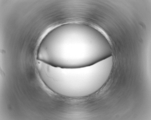 X0000091201099200708091035