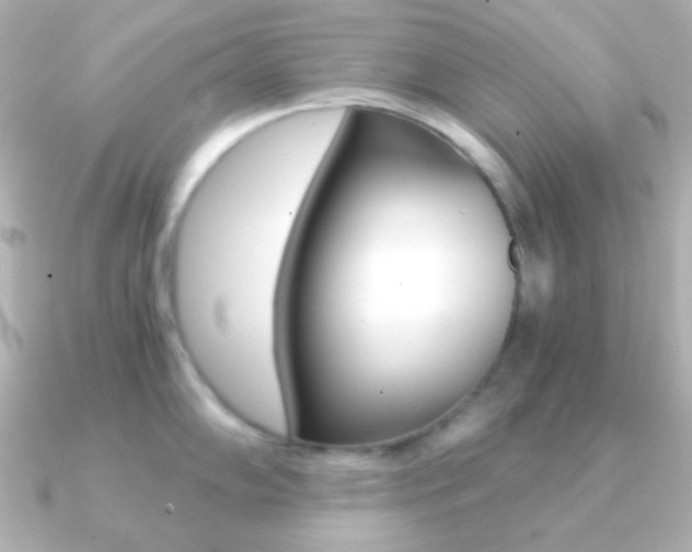 X0000091201102200708091035