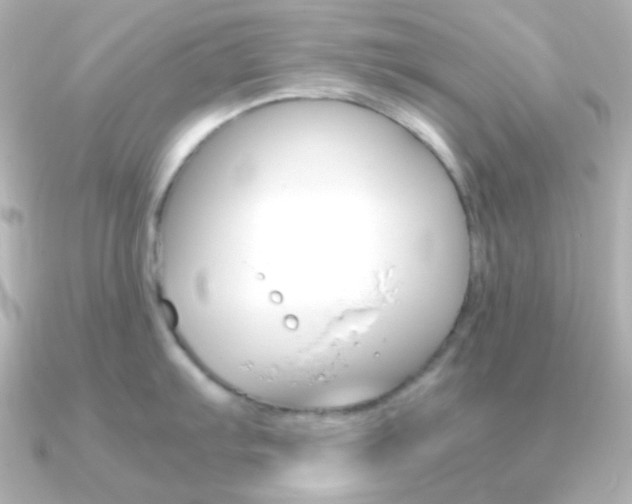 X0000091201103200708091035