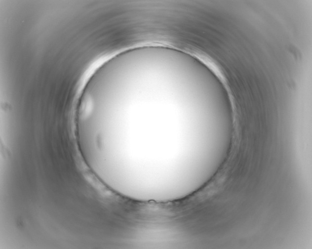 X0000091201104200708091035