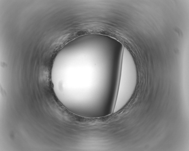 X0000091201108200708091035