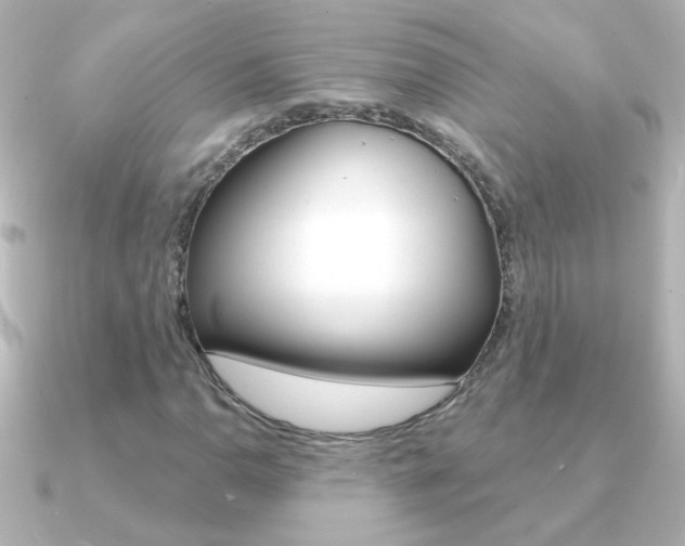 X0000091201110200708091035