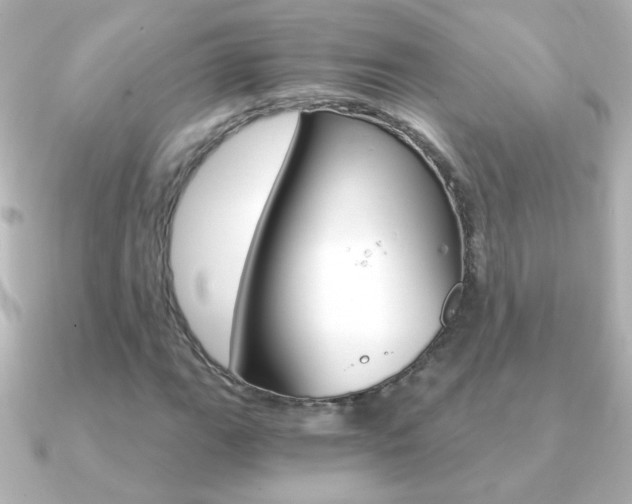 X0000091201111200708091035