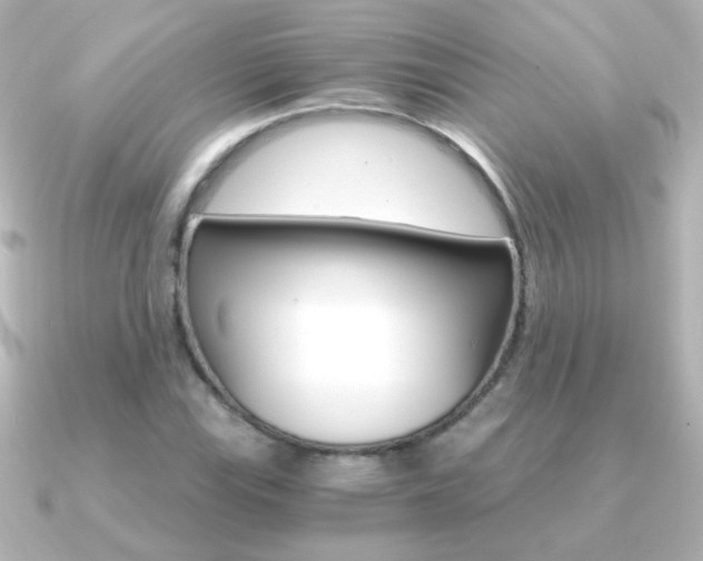 X0000091201115200708091035