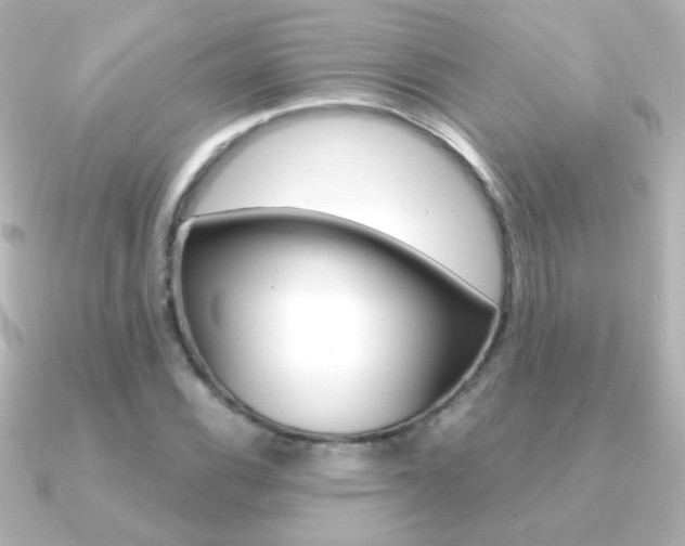 X0000091201116200708091035