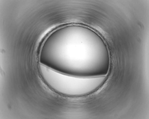 X0000091201118200708091035
