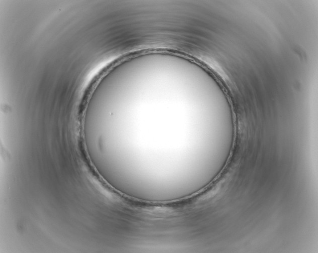 X0000091201119200708091035