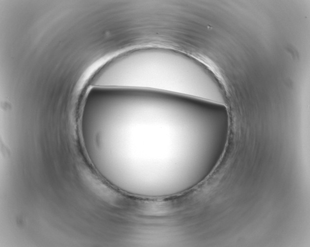X0000091201120200708091035